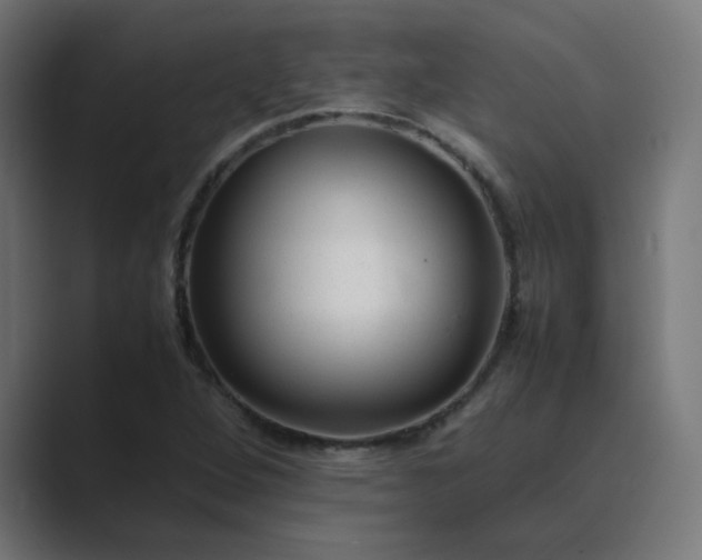 X0000089451264200706291437