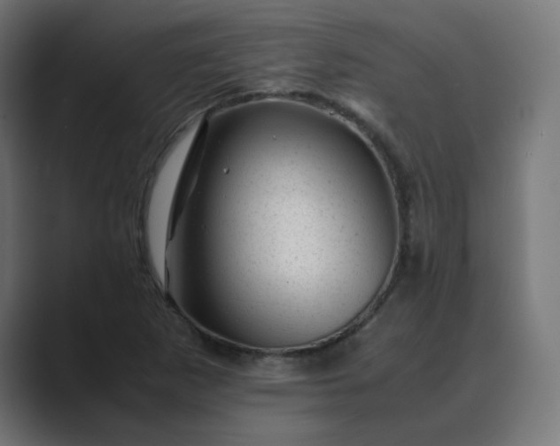 X0000089451265200706291437