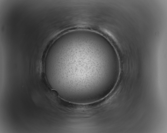 X0000089451267200706291437