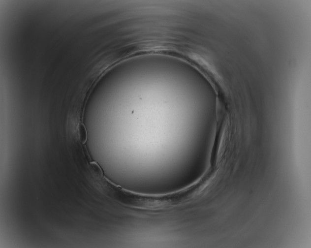 X0000089451273200706291437