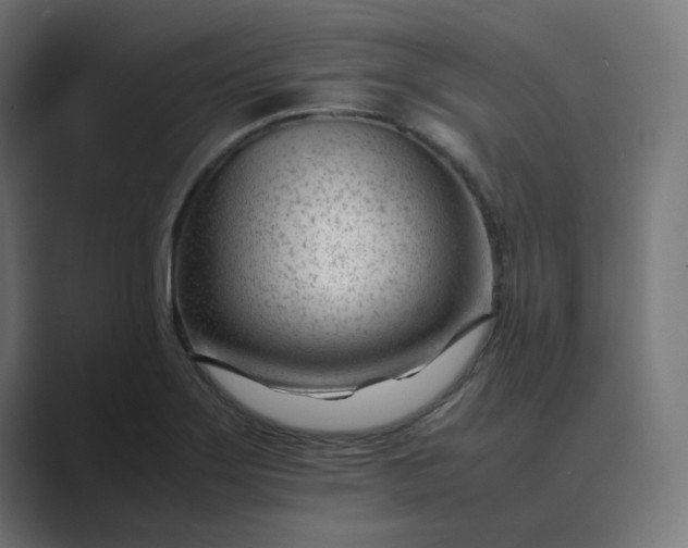X0000089451275200706291437
