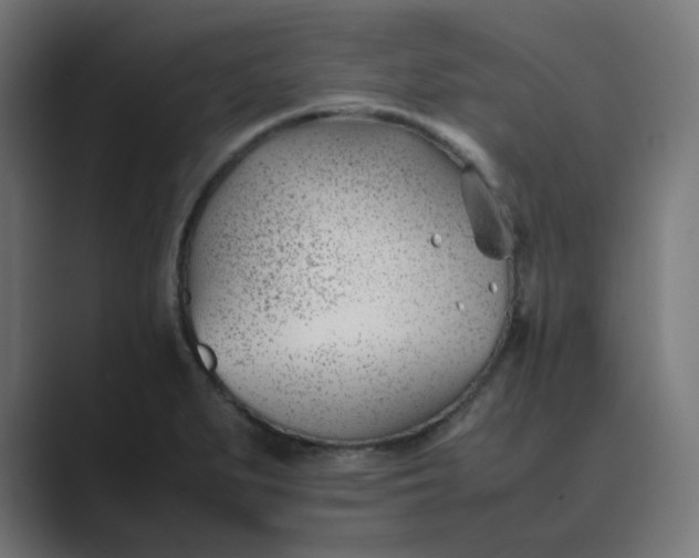 X0000089451279200706291436