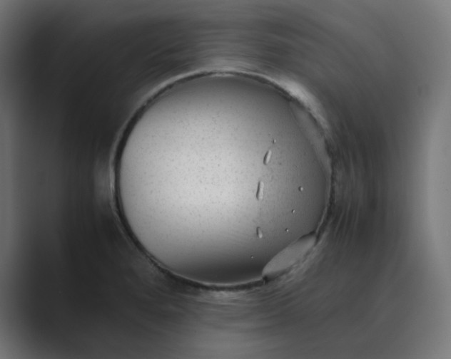 X0000089451280200706291436