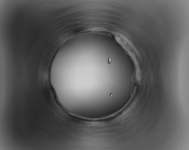 X0000089451281200706291436