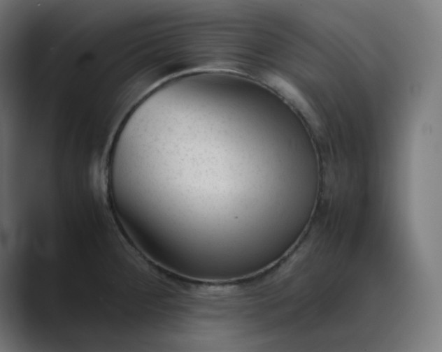 X0000089451284200706291436