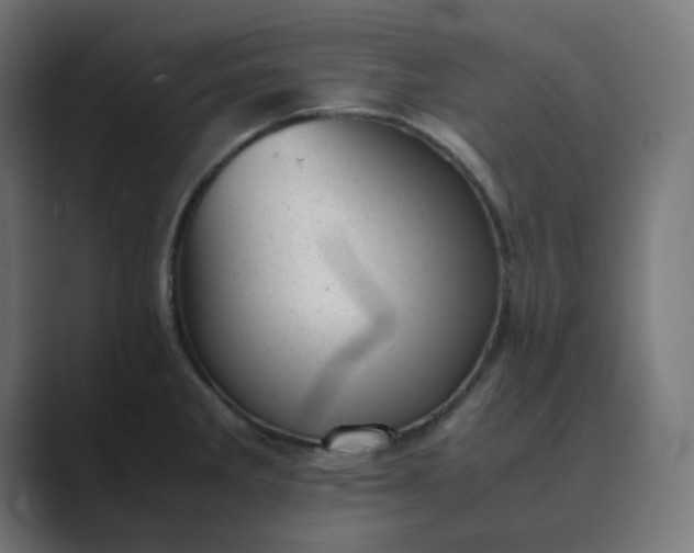 X0000089451285200706291436