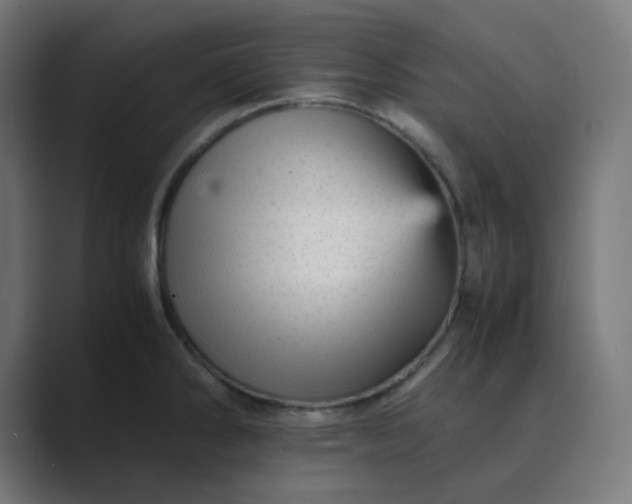 X0000089451286200706291436