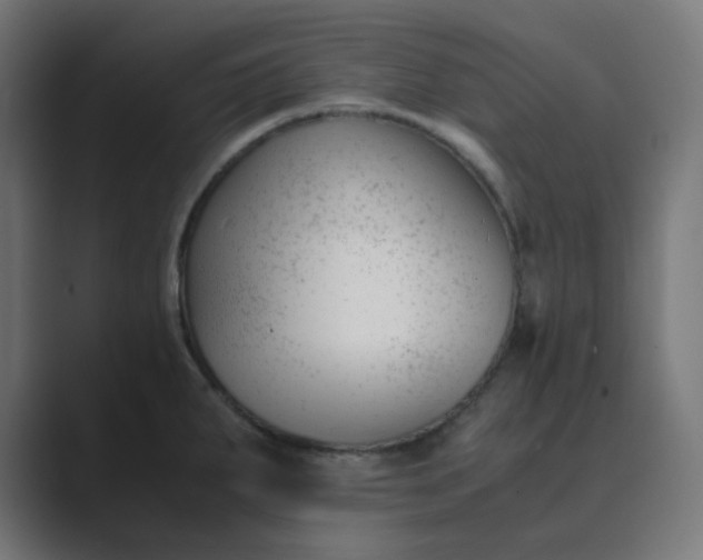 X0000089451287200706291436
