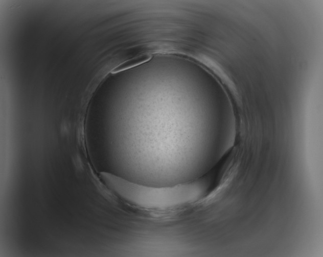 X0000089451289200706291436