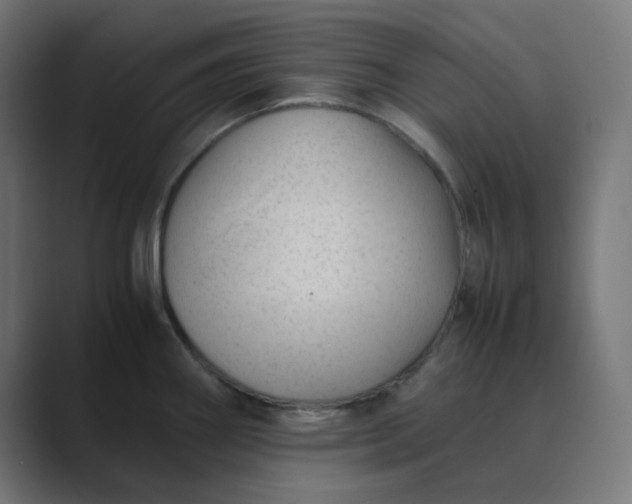 X0000089451290200706291436