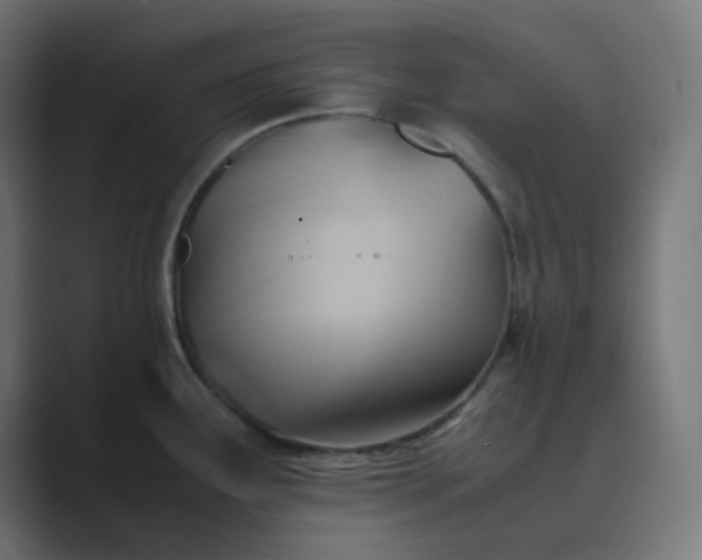 X0000089451291200706291436