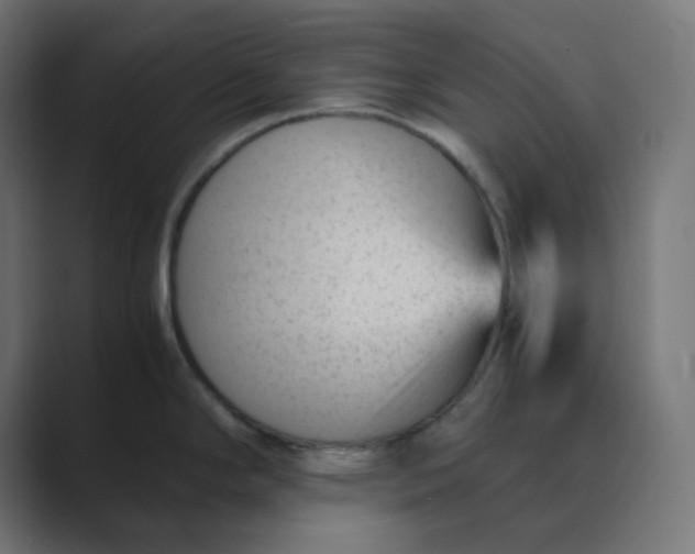 X0000089451294200706291436