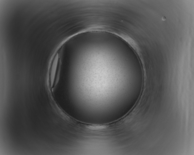 X0000089451296200706291436