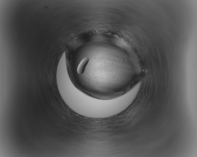 X0000089451298200706291436