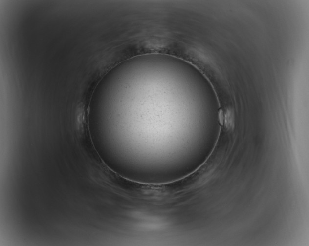 X0000089451299200706291436
