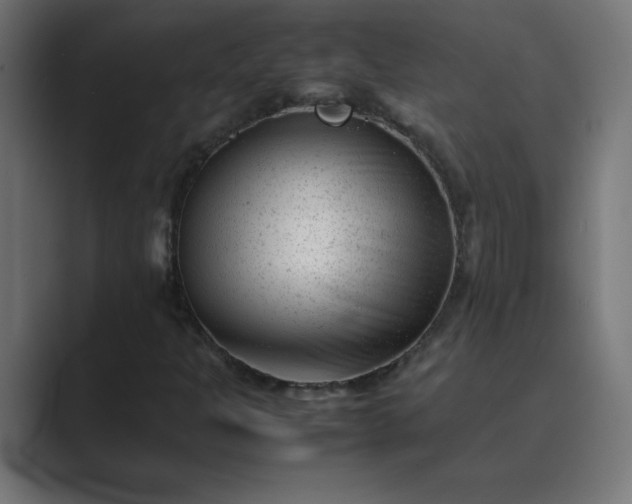 X0000089451301200706291436
