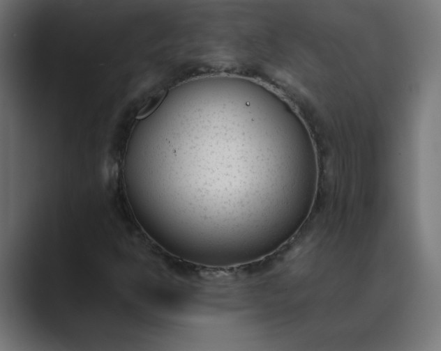 X0000089451302200706291436