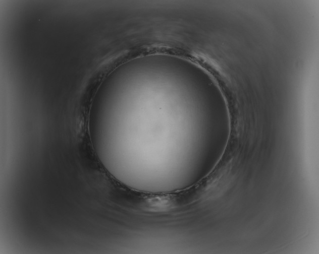 X0000089451303200706291436
