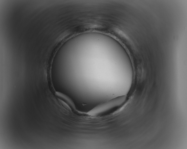 X0000089451305200706291436