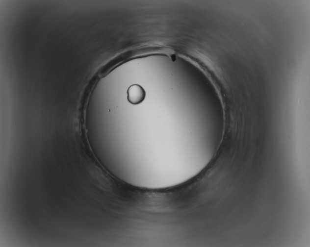 X0000089451308200706291436