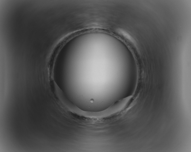 X0000089451310200706291436
