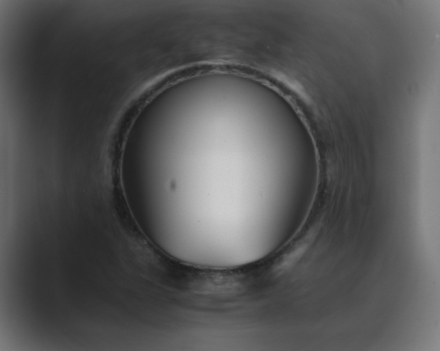 X0000089451311200706291436