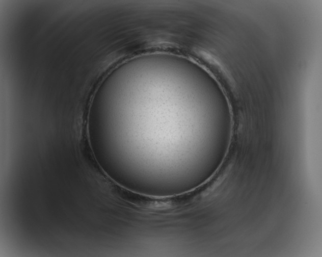 X0000089451313200706291436