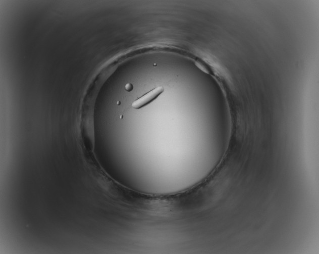 X0000089451316200706291436