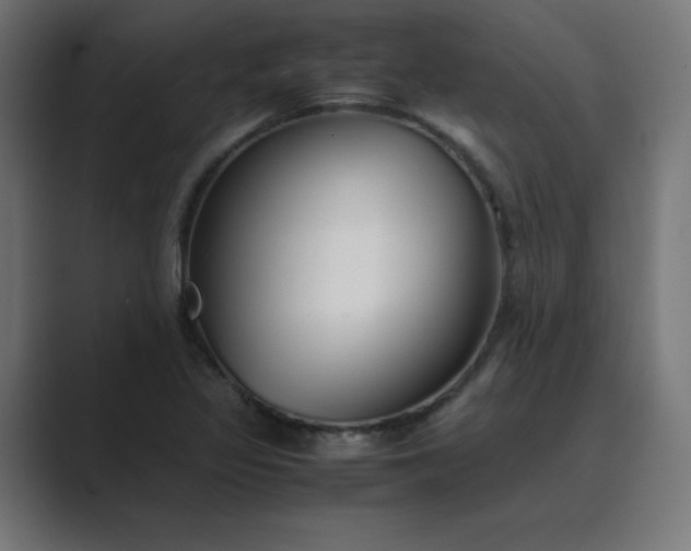 X0000089451317200706291436