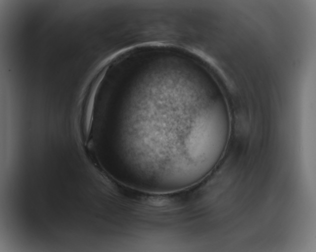 X0000089451319200706291436