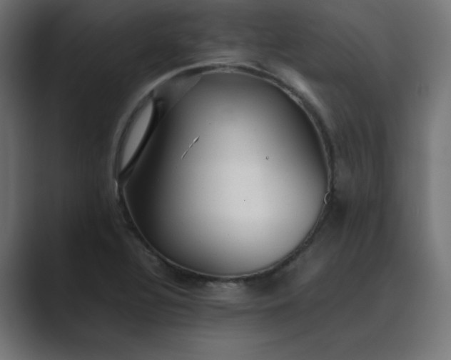 X0000089451320200706291436