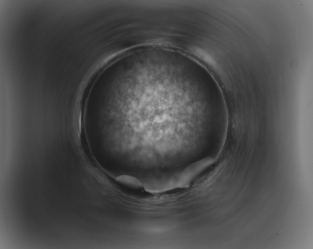 X0000089451323200706291436