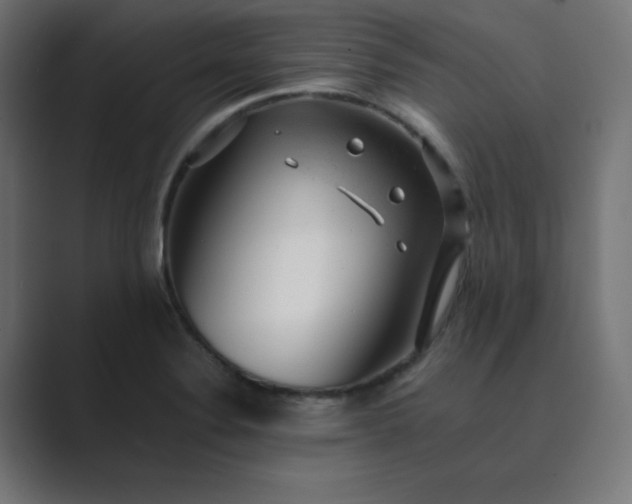 X0000089451324200706291436