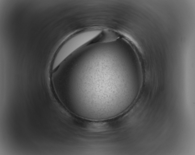 X0000089451325200706291436