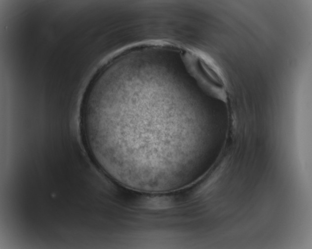 X0000089451327200706291436