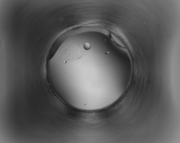 X0000089451328200706291436