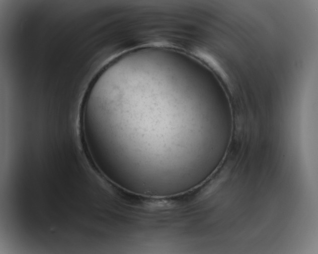 X0000089451331200706291436