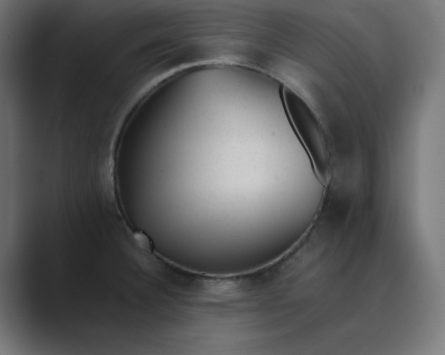 X0000089451332200706291436