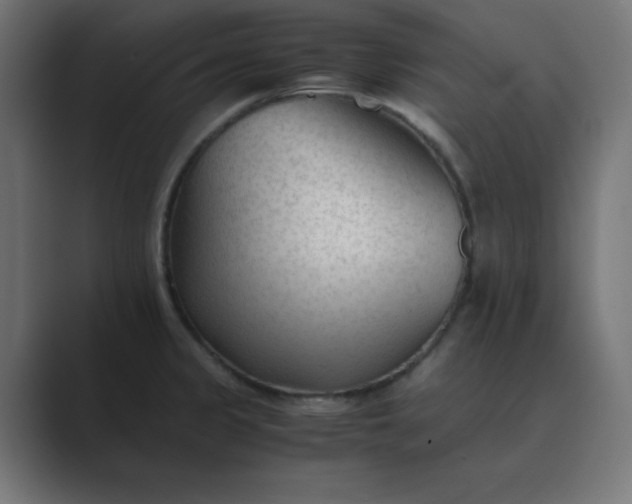 X0000089451333200706291436