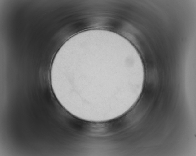 X0000089451338200706291436