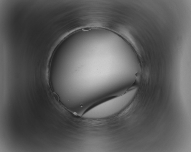 X0000089451340200706291436