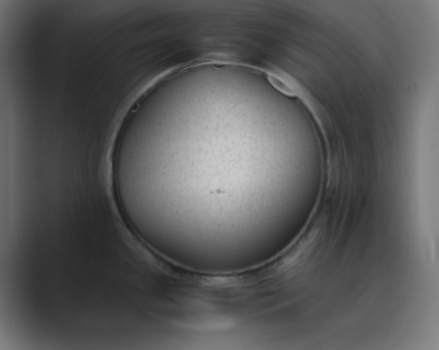 X0000089451341200706291436