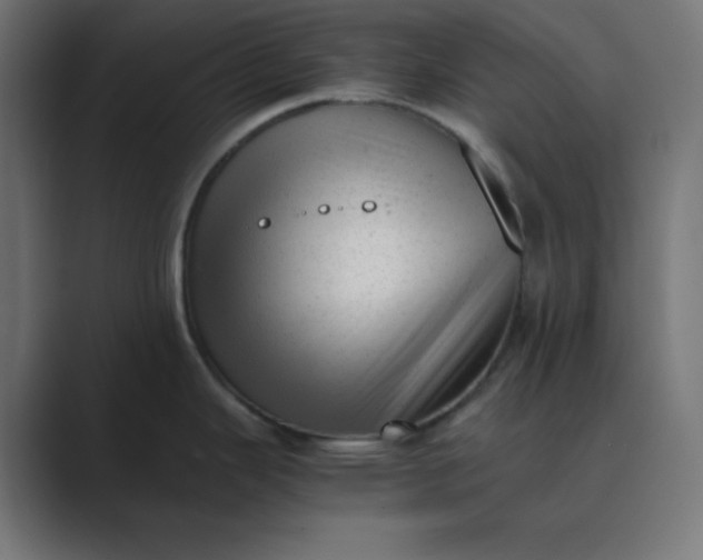 X0000089451343200706291436