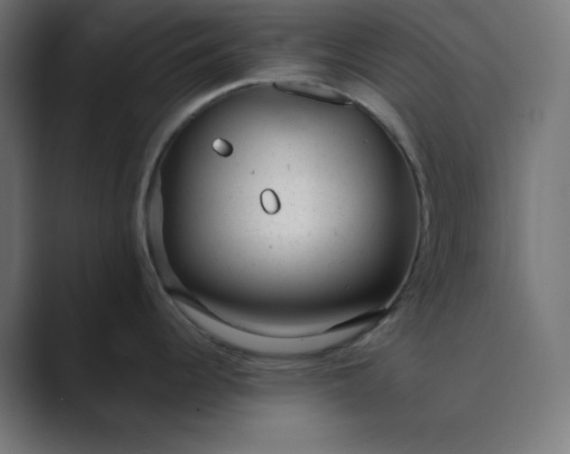 X0000089451344200706291436