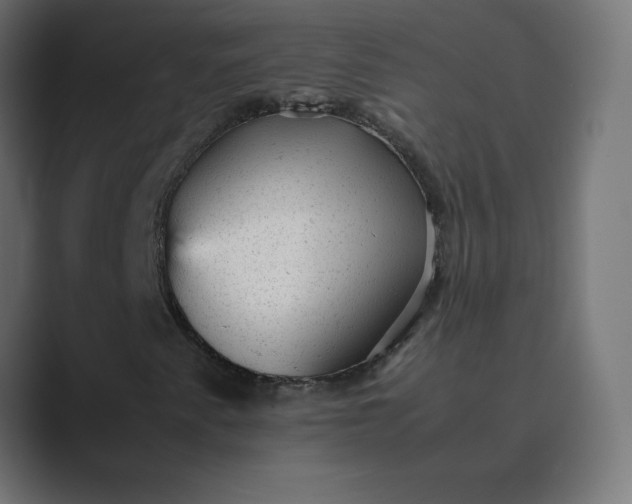 X0000089451345200706291436