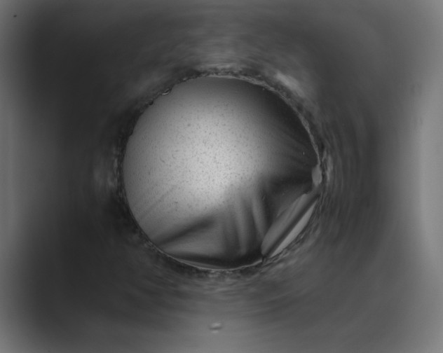 X0000089451350200706291436