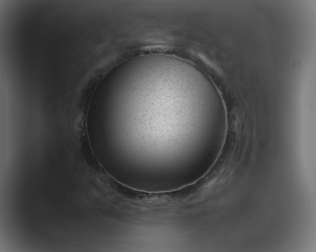 X0000089451351200706291436