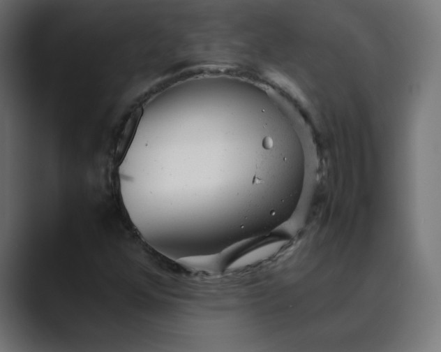 X0000089451352200706291436
