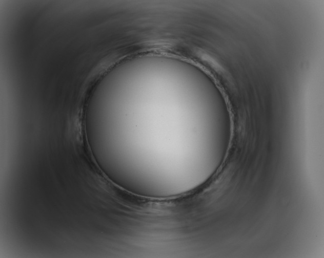 X0000089451354200706291436