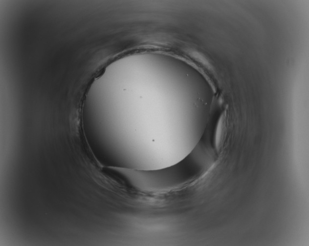 X0000089451355200706291436